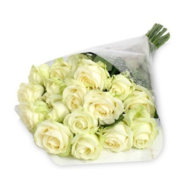 Dos docenas de ramo de rosas blancas