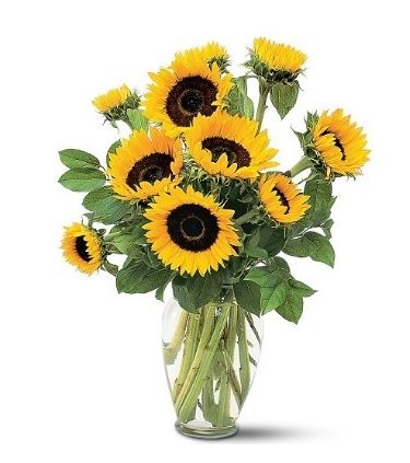 Girasoles. Florero incluido