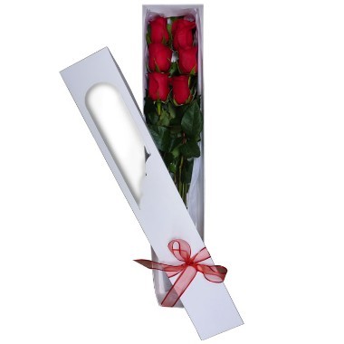 Caja de Seis Rosas