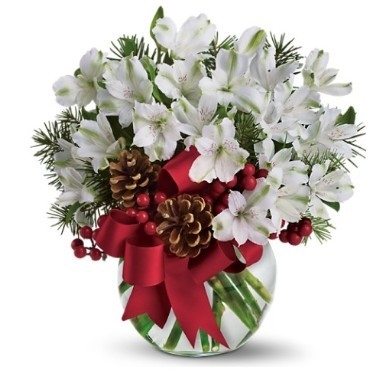 blanca Navidad