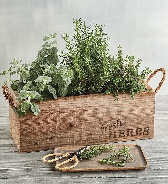 Jardín de hierbas aromáticas de madera reciclada
