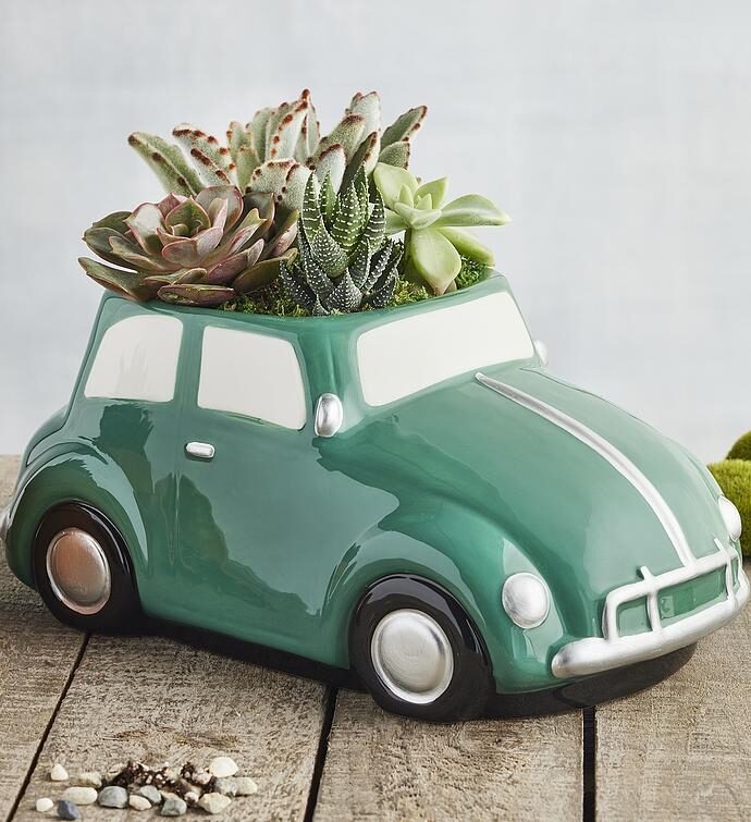 Suculentas para el Día del Padre en una maceta con forma de coche retro.