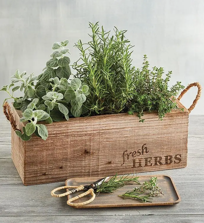 Jardín de hierbas aromáticas de madera reciclada