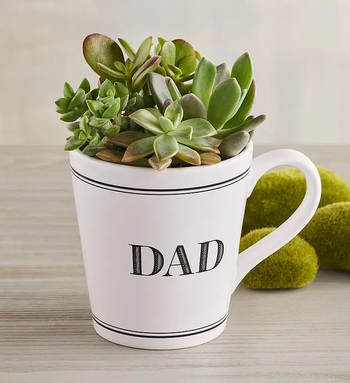 Taza "Papá" Jardín de suculentas