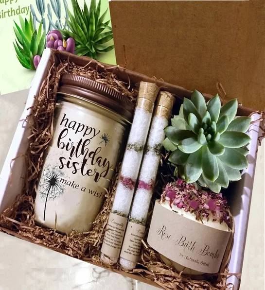 Caja de regalo de spa con suculentas para el cumpleaños de tu hermana