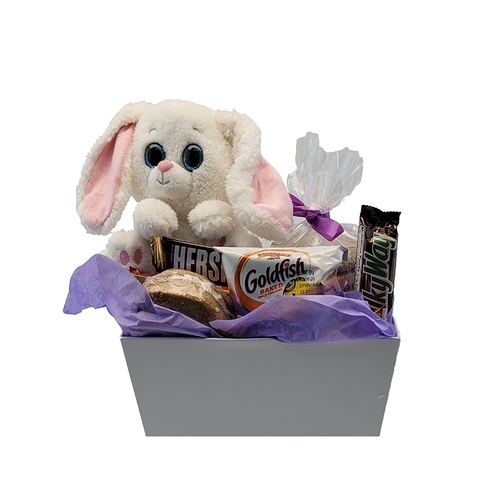 Easter Bunny Cookie Snack Pack (1/2 Dozens)
