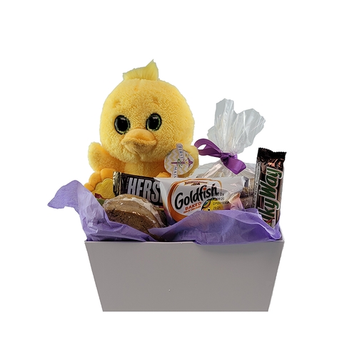 Easter Chicky Cookie Snack Pack (1/2 Dozens)