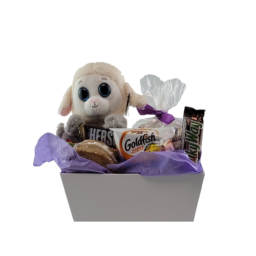 Easter Lamb Cookie Snack Pack (1/2 Dozens)