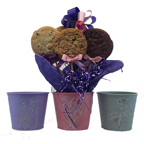 Metal Imprinted Floral Pot Cookie Bouquet (1/2 Dozen)