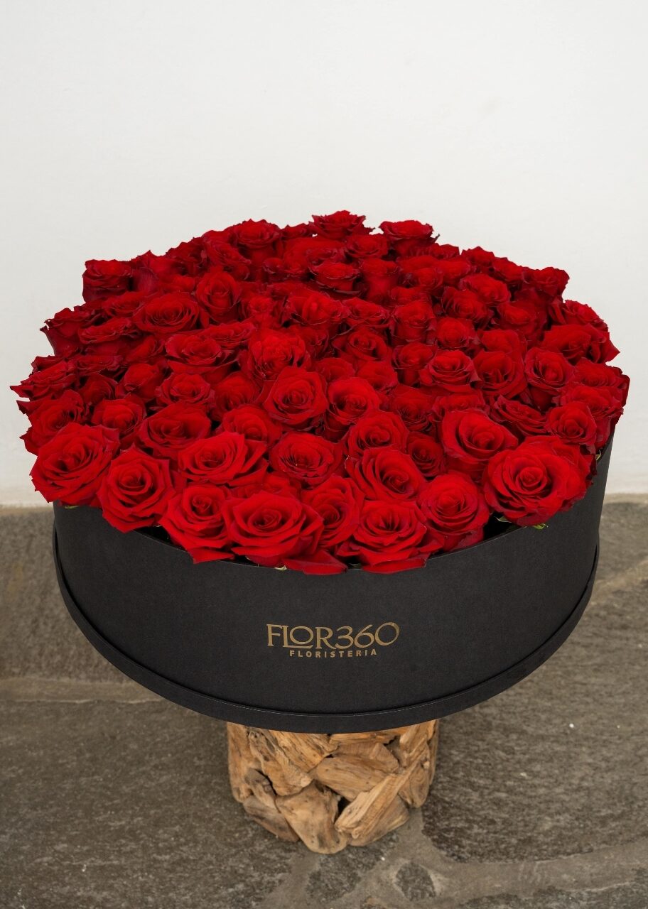 100 rosas