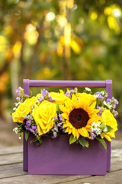 Pequeño morado