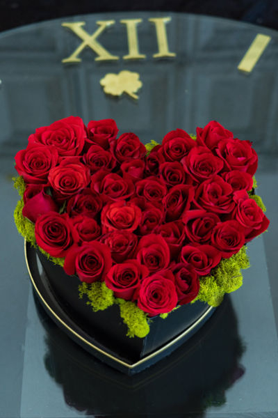 AMOR8
