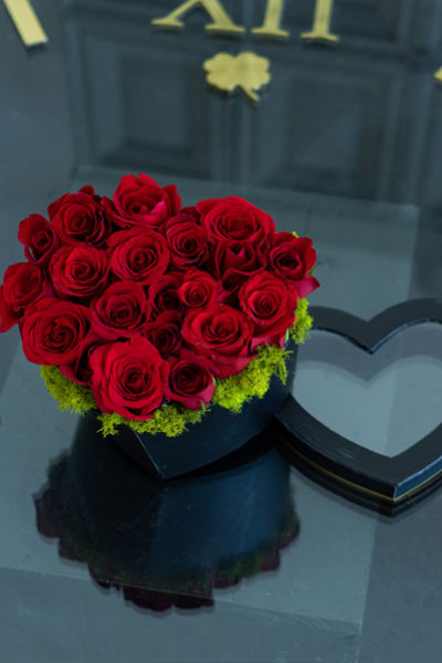 AMOR 8