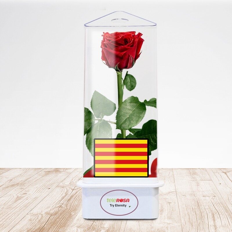 Rosa Eterna Sant Jordi