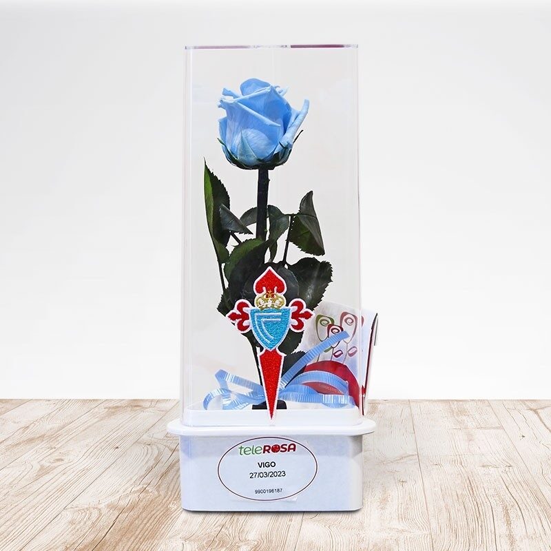 Rosa Eterna Celta de Vigo
