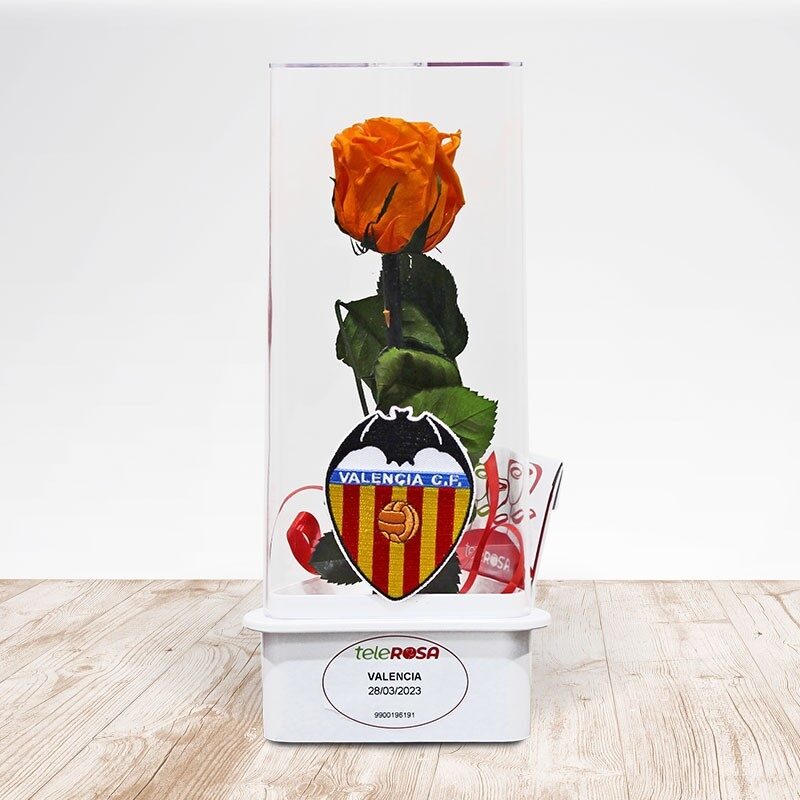 Rosa Eterna Valencia