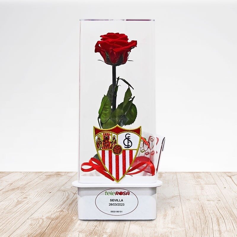Rosa Eterna Sevilla