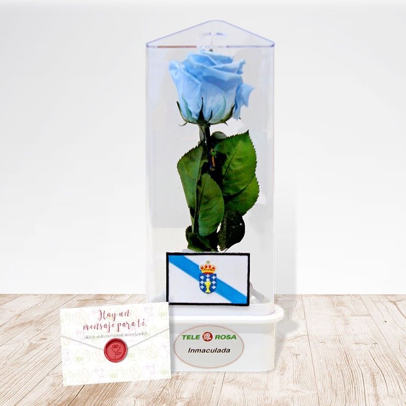 Galicia Rosa Eterna
