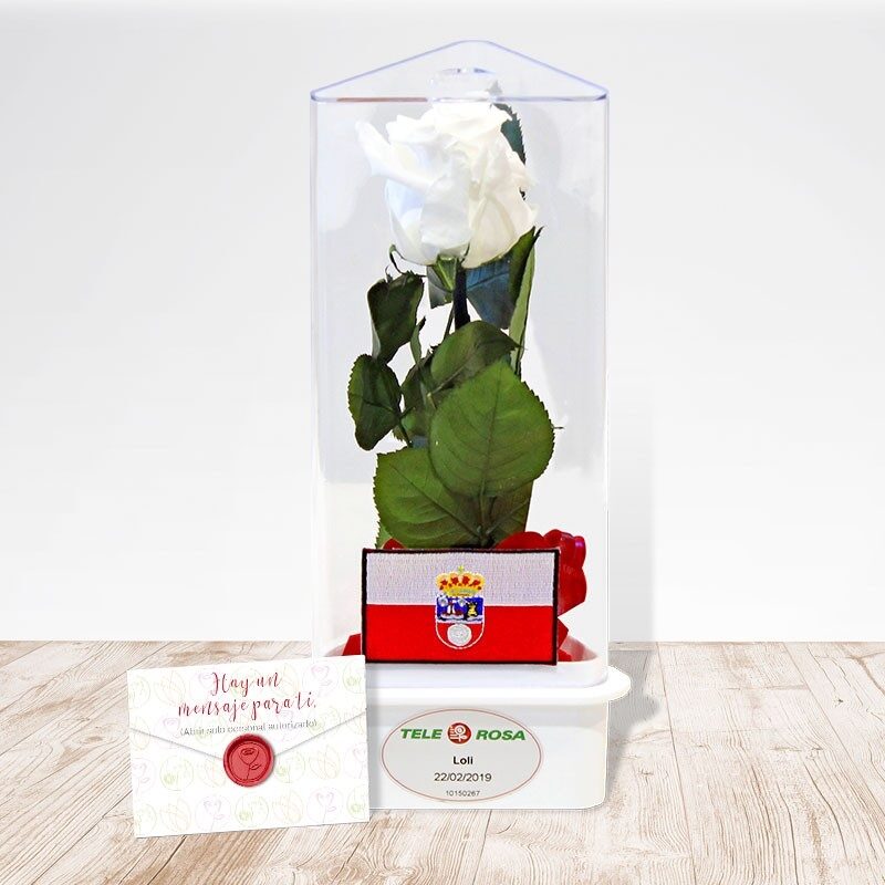 Rosa Eterna de Cantabria