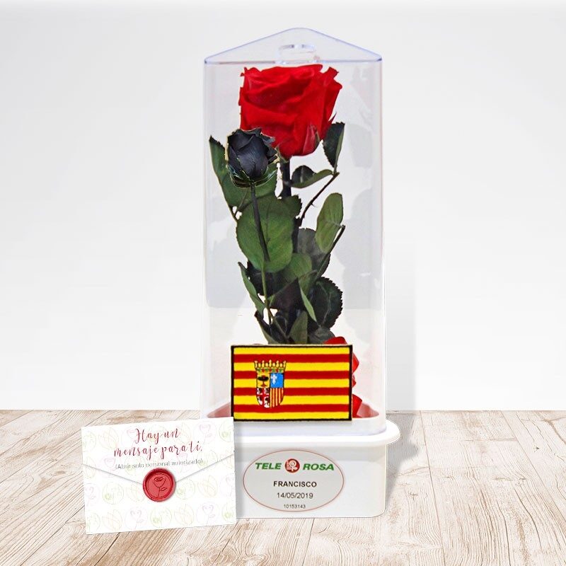 Rosa Eterna de Aragón