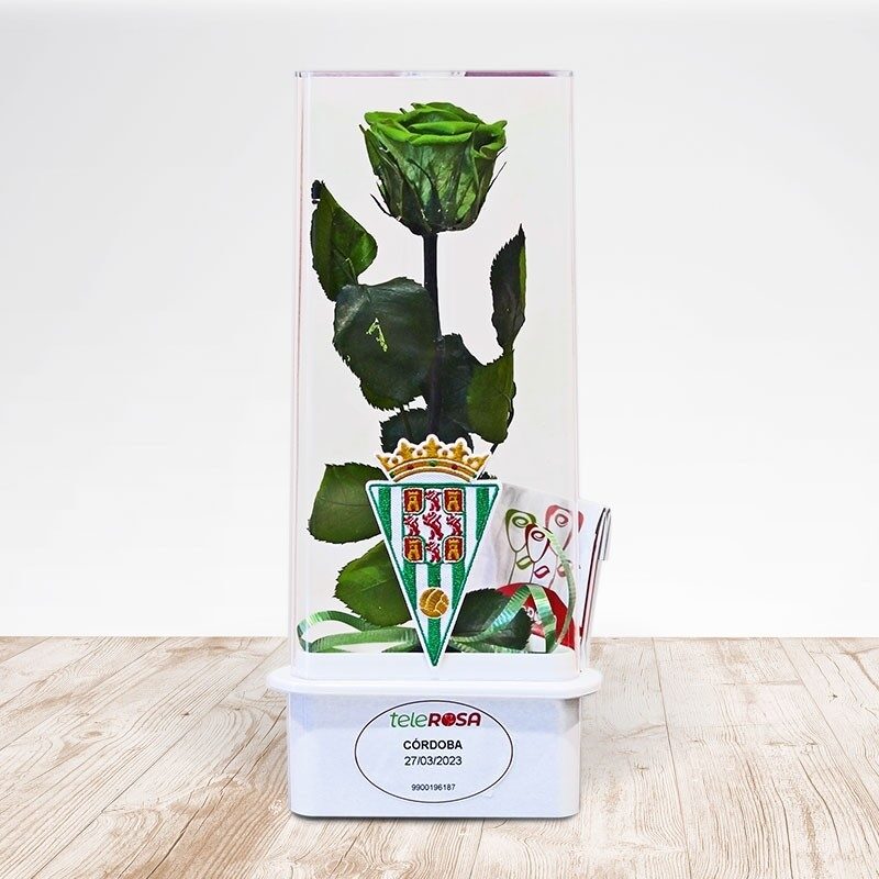 Rosa Eterna Córdoba CF