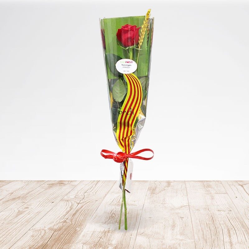 Santa Jordi Rosa