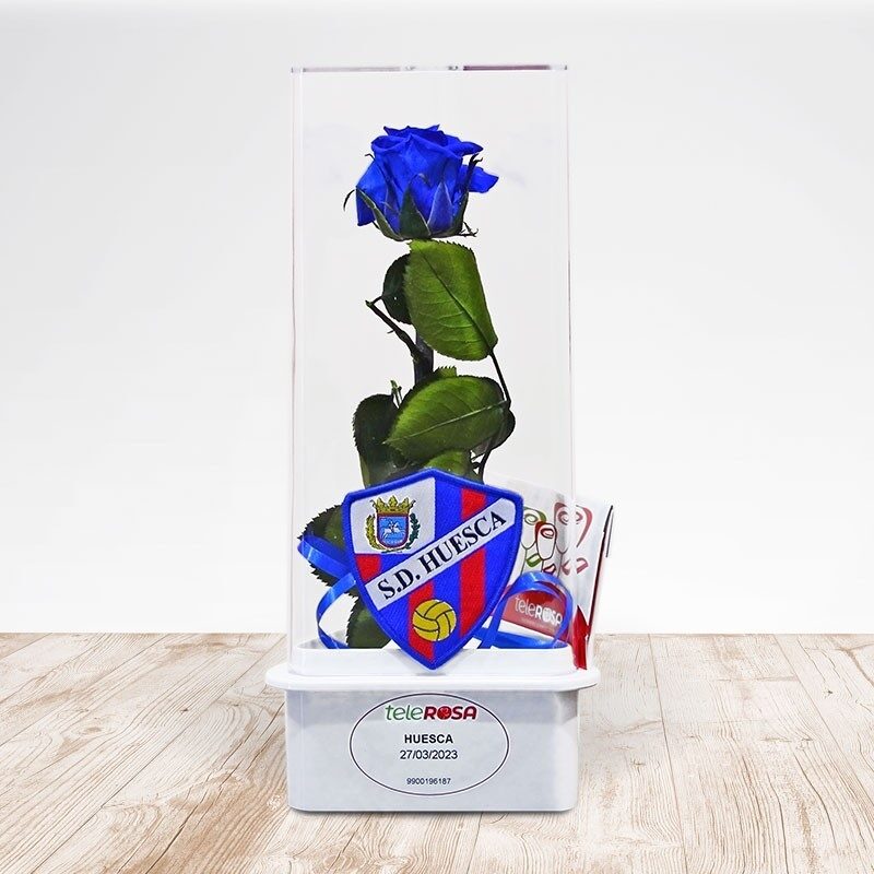 Rosa Eterna SD Huesca