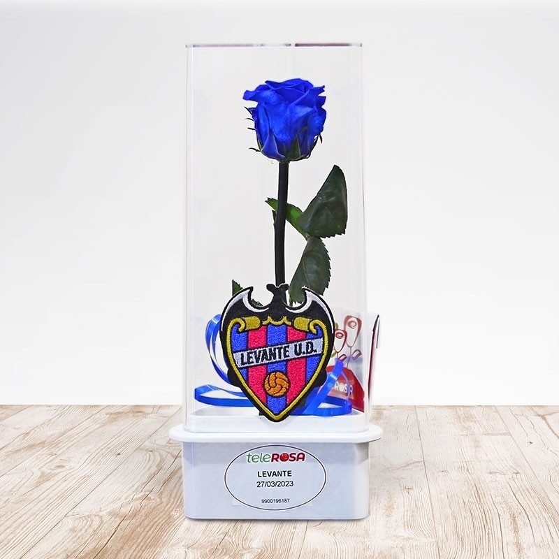 Rosa Eterna Levante
