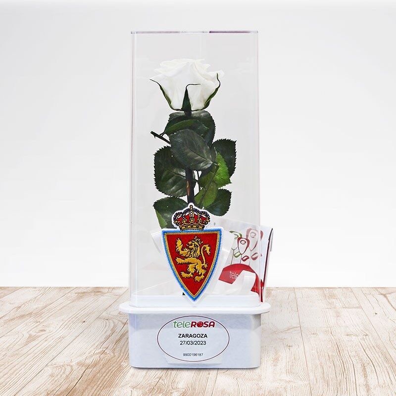 Rosa Eterna Real Zaragoza