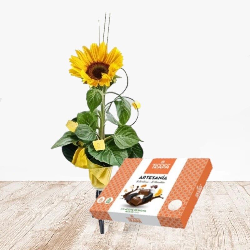 Chocolate con girasol (normal)
