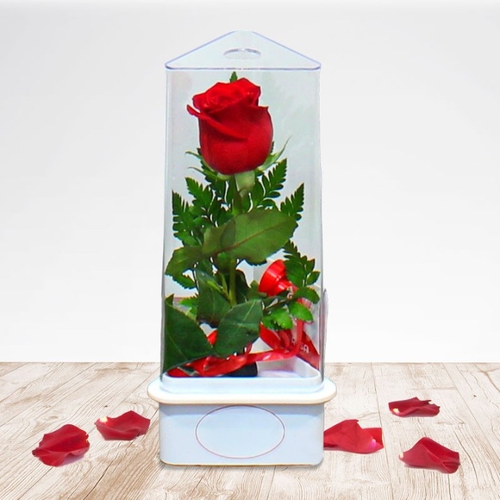 Prueba Rose