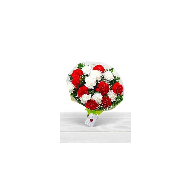 Bouquet of carnations (Normal)
