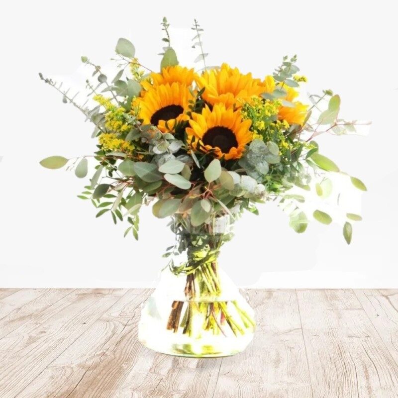 Danza de los Girasoles (Normal)
