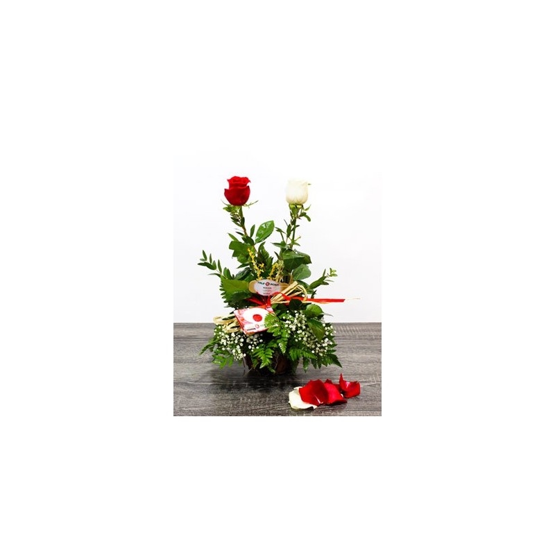 Rosas a dúo