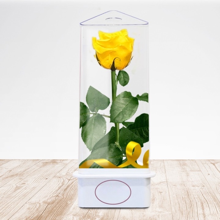Rosa Eterna TriEternidad