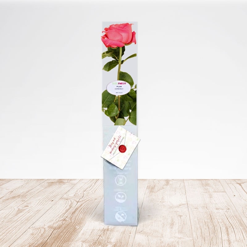 Rosa Eterna Premium