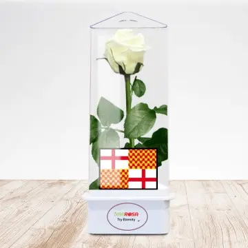 Rosa blanca de Tabarnia