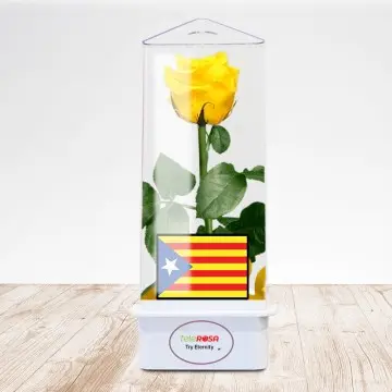 Estelada Rosa Eterna