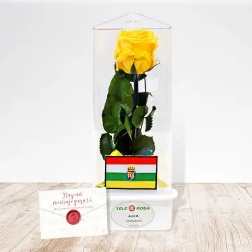 La Rioja Rosa Eterna