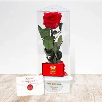 Rosa eterna de Navarra