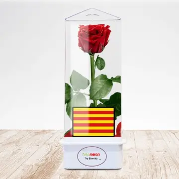 Rosa Eterna Sant Jordi