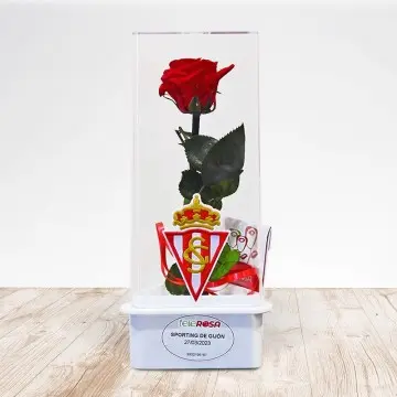 Eternal Rose Sporting de Gijón