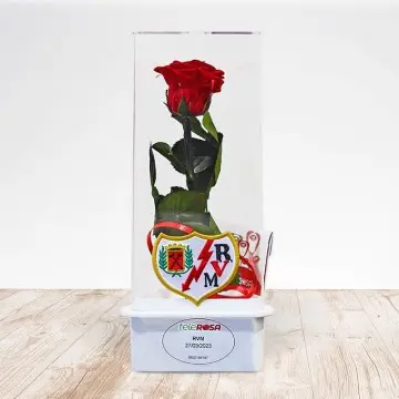 Rosa Eterna Rayo Vallecano