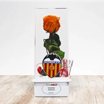 Rosa Eterna Valencia