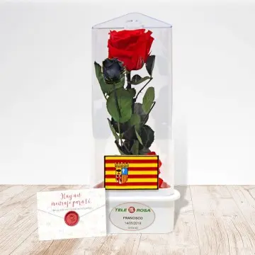 Rosa Eterna de Aragón