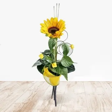 Girasol decorado (normal)