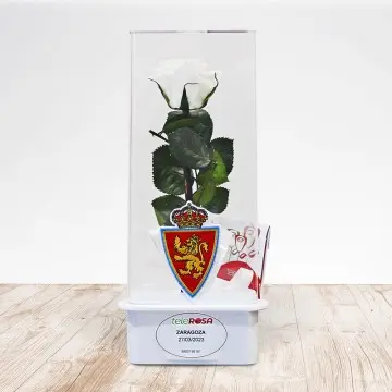 Rosa Eterna Real Zaragoza