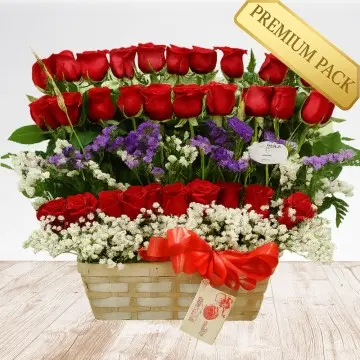Rubí Rosa