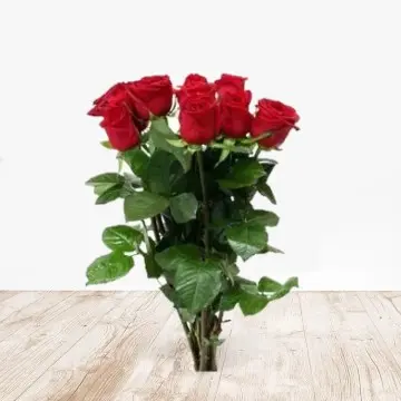 Relleno de 10 rosas para jarrón