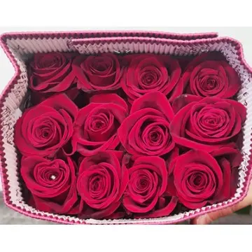 Paquete de 25 rosas